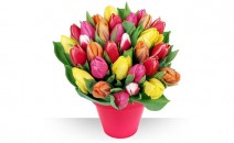 bouquet de tulipes