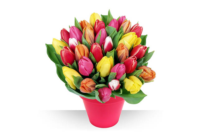 bouquet de tulipes