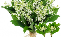 Muguet porte bonheur