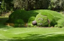 Jardin des Plantes