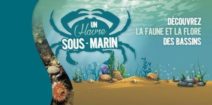 Le Havre sous-marin