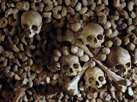 Catacombes de Paris
