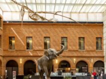 Muséum de Toulouse