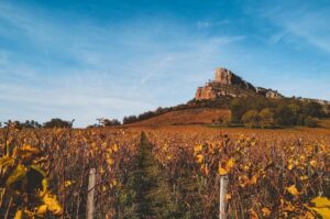 Vins de Bourgogne