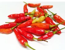 Cayenne