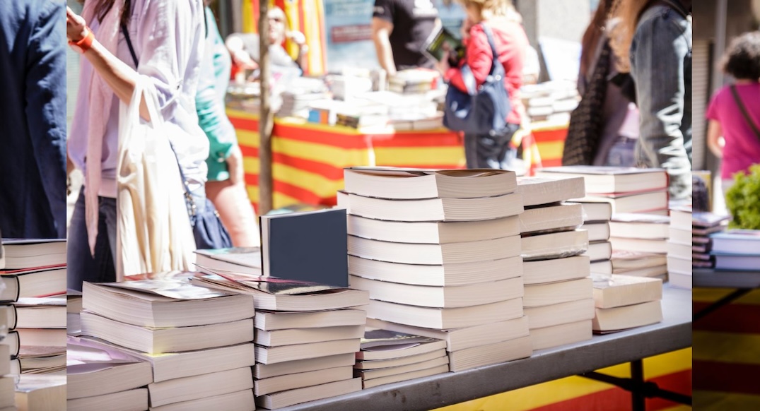 Festival Culturel, les incontournables de 2025 Envies de France