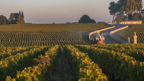 Bordeaux Saint Emilion
