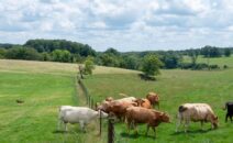 Champagne-Ardenne