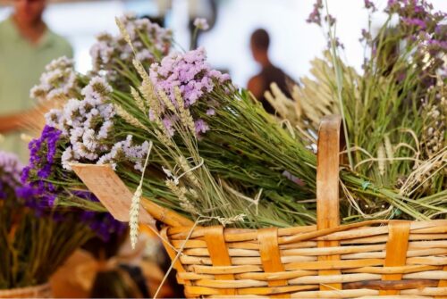 Provence