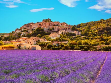 Provence