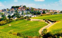 Vins de Loire Sancerre