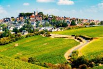 Vins de Loire Sancerre