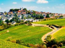 Vins de Loire Sancerre