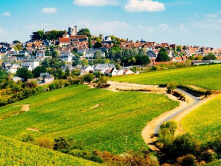 Vins de Loire Sancerre