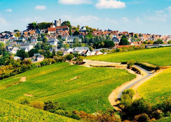 Vins de Loire Sancerre