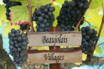 Beaujolais