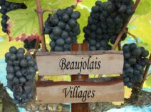 Beaujolais