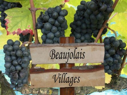 Beaujolais