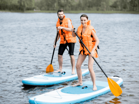 Paddle