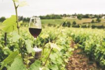 Vin de Bourgogne
