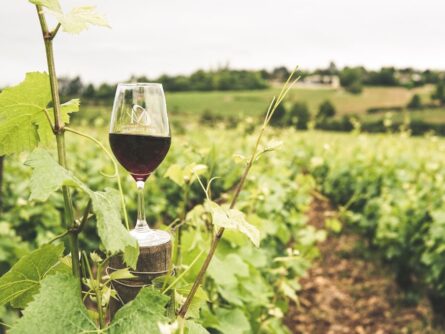 Vin de Bourgogne