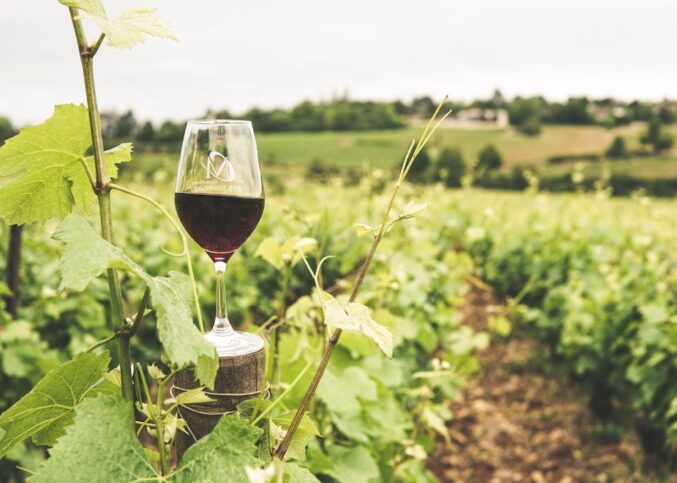 Vin de Bourgogne