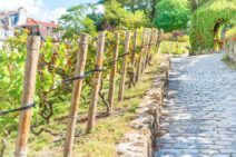 vins d’Île-de-France