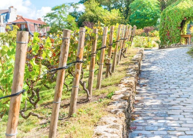 vins d’Île-de-France