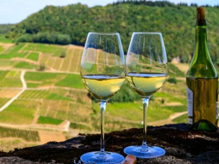 vins du Jura