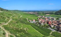 route des vins d'alsace