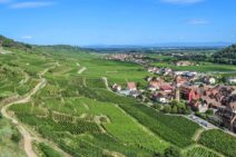 route des vins d'alsace