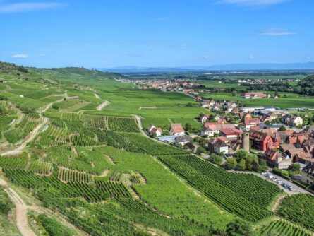 route des vins d'alsace