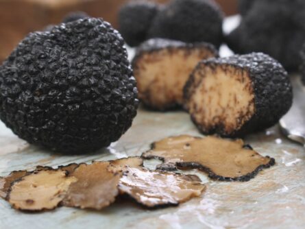 Truffes noires