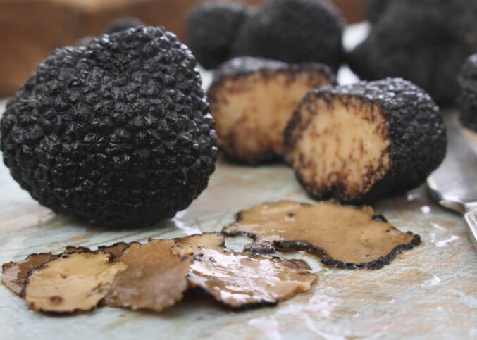 Truffes noires
