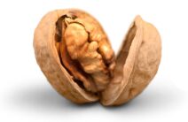 Noix du Périgord
