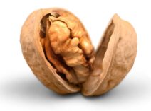Noix du Périgord