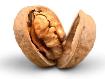 Noix du Périgord