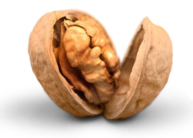 Noix du Périgord