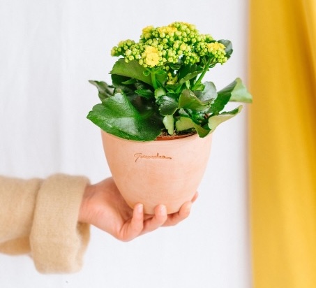 préparer son printemps