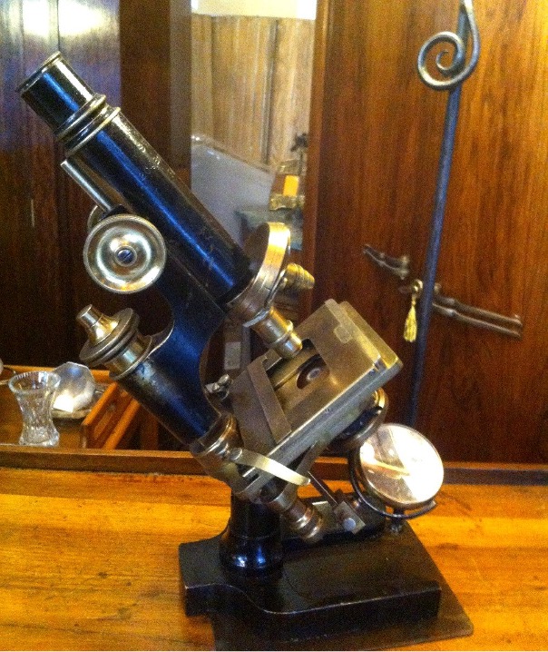 Microscope
