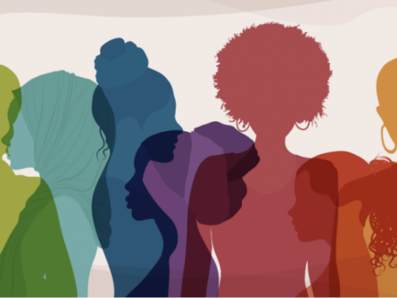 Regard sur les femmes