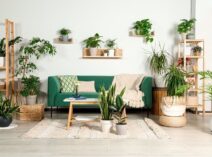 verdir son quotidien