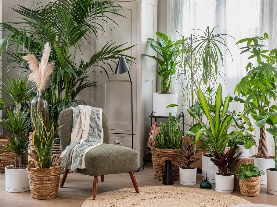 Verdir son quotidien