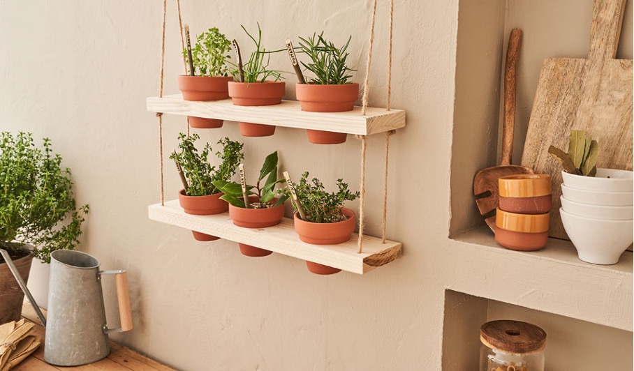 Plantes pour petits espaces