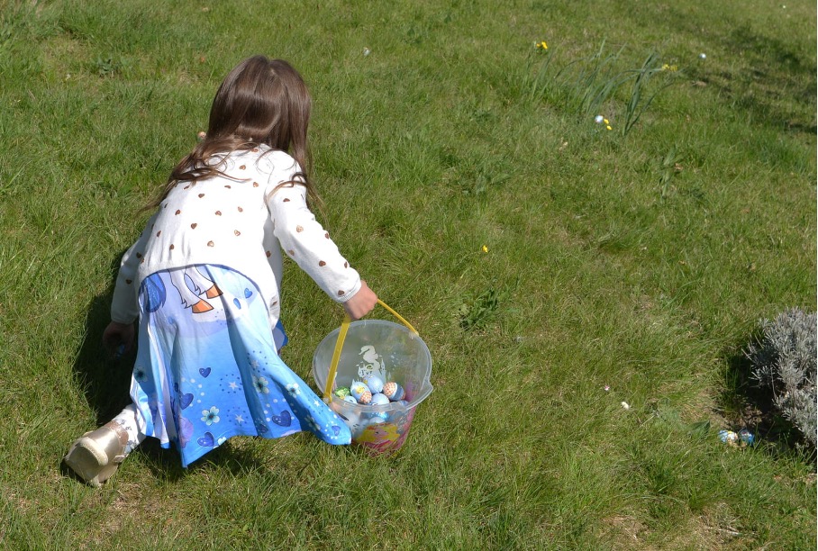 chasse aux oeufs