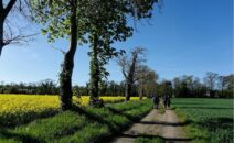 Nostalgies de printemps