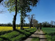 Nostalgies de printemps