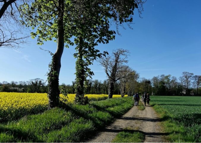 Nostalgies de printemps