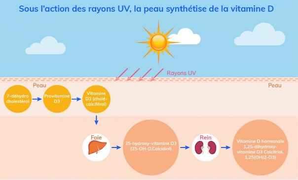 Carences vitamines D